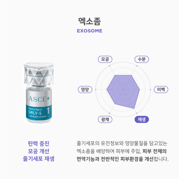 재생_엑소좀-100