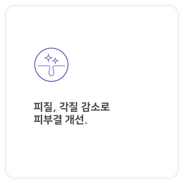 효과4-100